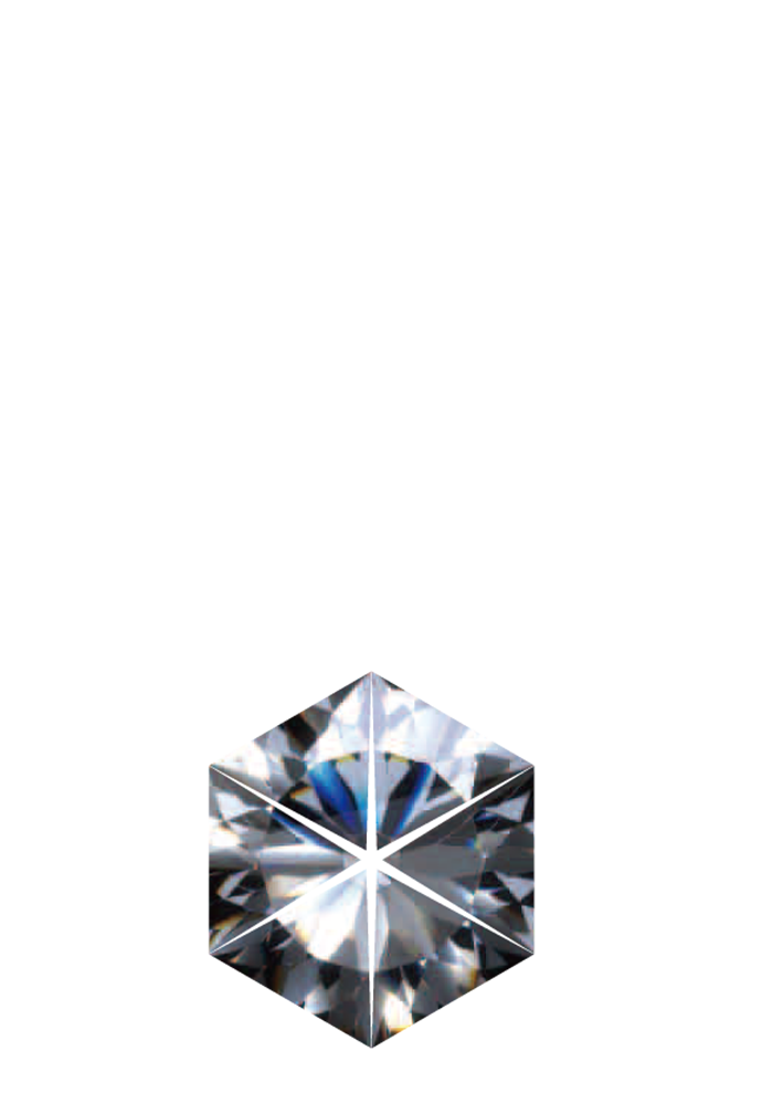 CARAT 機能説明 SP