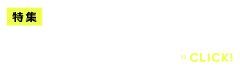 NEMEZIZ17.1レビュー