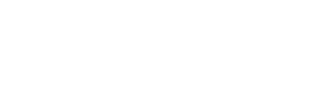 ACE 16+ PURECONTROL