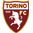 gm^Torino