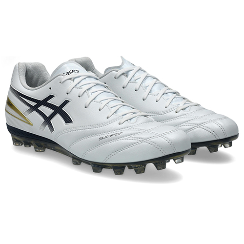 【予約】DS LIGHT PRO AG