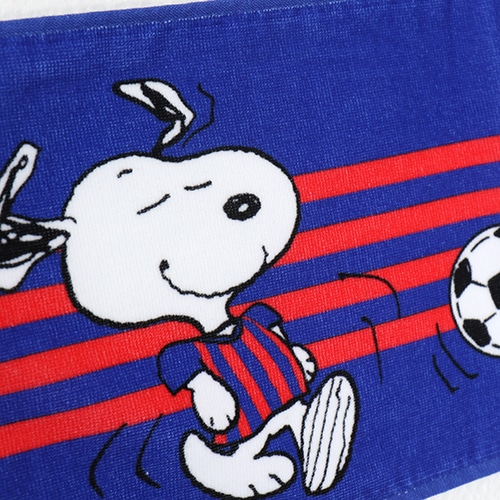 ファンド 冷ややかな 学期 サッカー スヌーピー キャプチャー 対処する 深い
