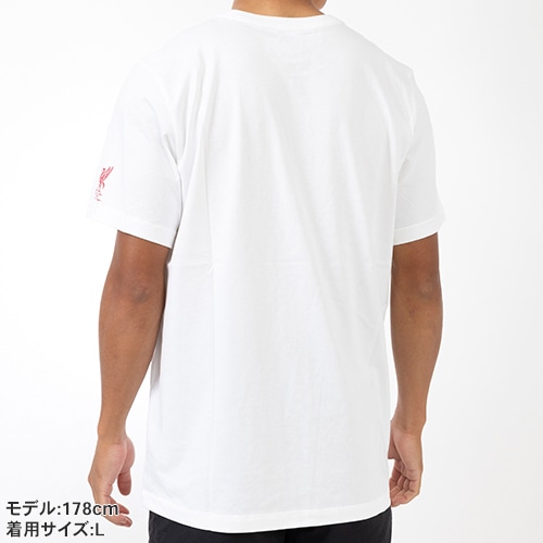 24-25 リヴァプール スウッシュTシャツ