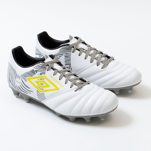 アクセレイター +GAINA HG