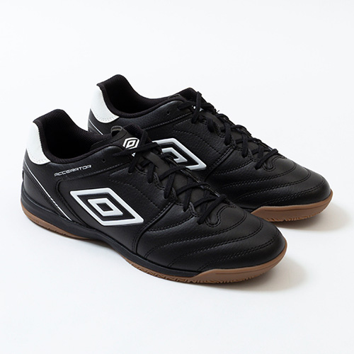 アクセレイターサラ WIDE IN