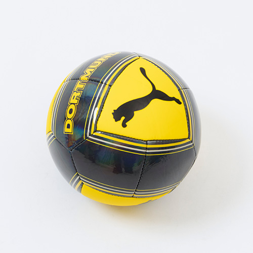 ドルトムント カルチャー ミニボール