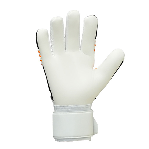 ファングマシーネ ソフト ハーフネガティブ コンプ