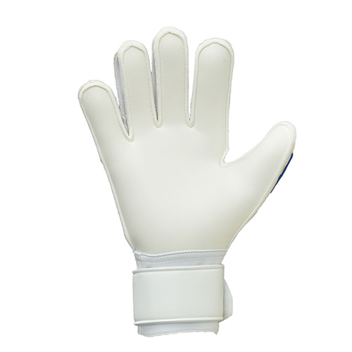 ファングマシーネ ソフト アドバンスド