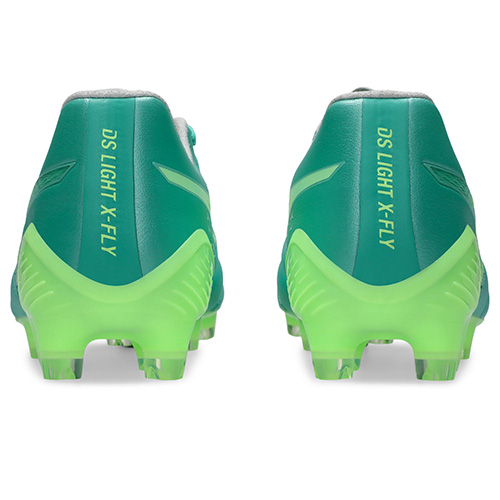 【予約】DS LIGHT X-FLY 6