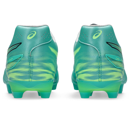 【予約】DS LIGHT PRO WIDE