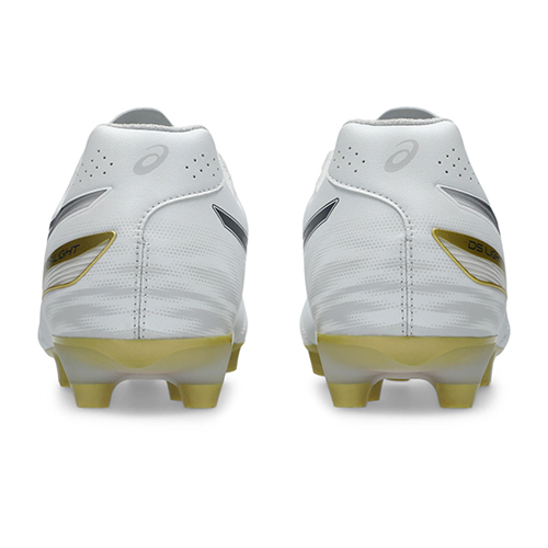 【予約】DS LIGHT PRO