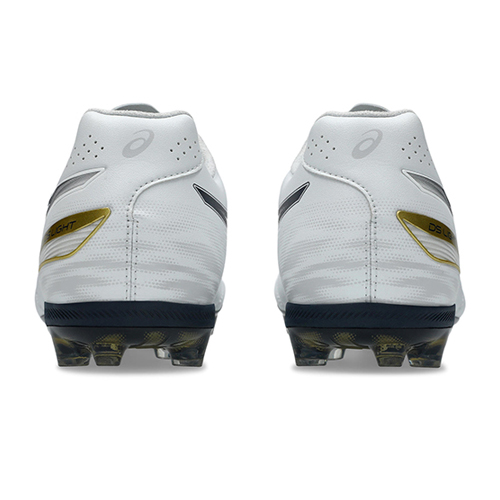 【予約】DS LIGHT PRO AG