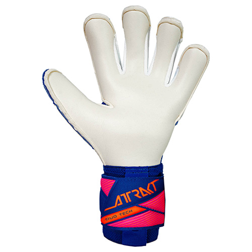 アトラクト デュオ エボリューション