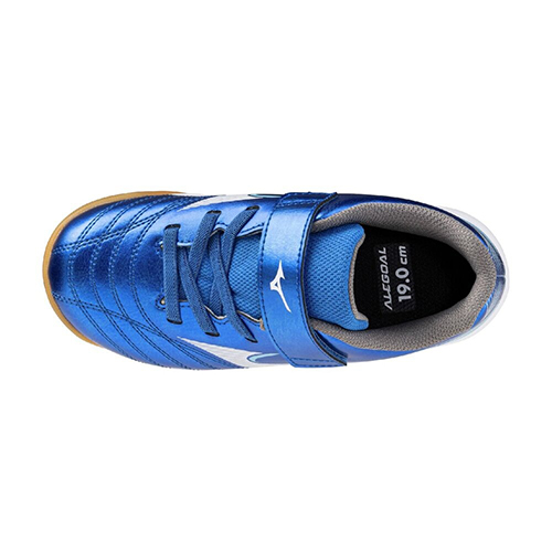 アレゴール SB IN