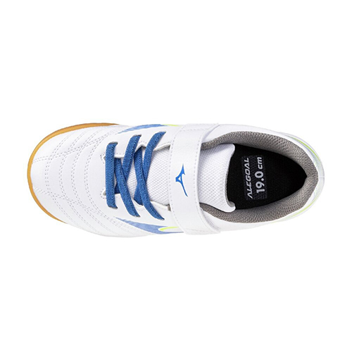 アレゴール SB IN