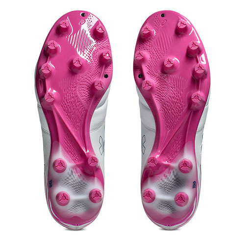 【予約】DS LIGHT PRO WIDE