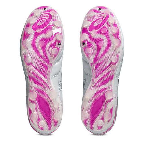 【予約】DS LIGHT PRO AG