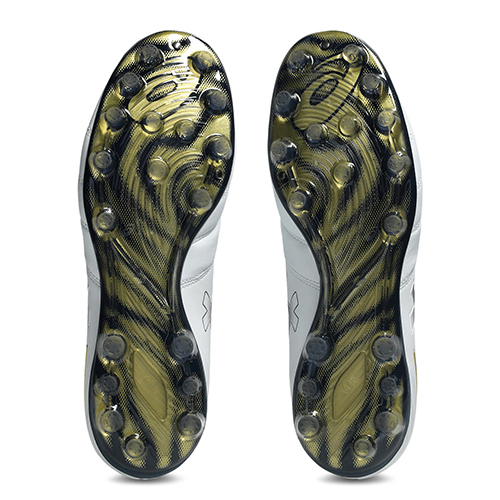 【予約】DS LIGHT PRO AG