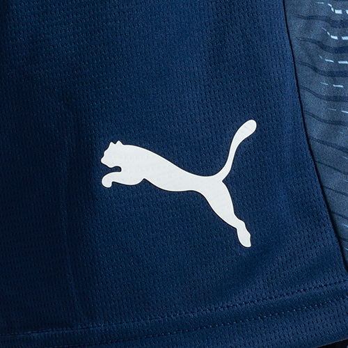 INDIVIDUALFINAL TR ショーツ