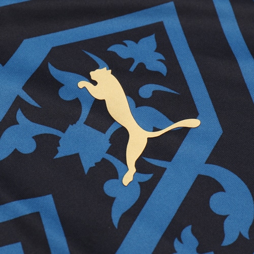 FIGC ｱｳｪｲ ｽﾀｼﾞｱﾑ ｼｬﾂ