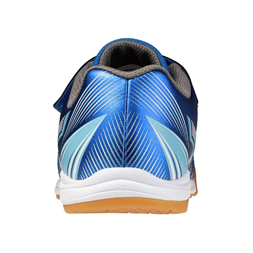 アレゴール SB IN