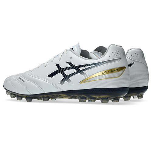 【予約】DS LIGHT PRO AG