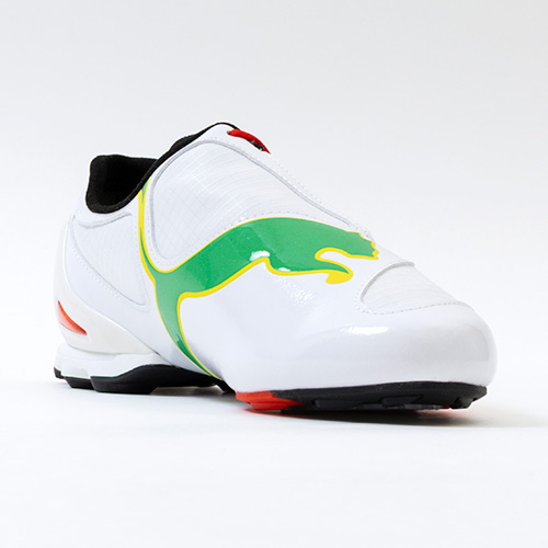 V-S1 AFCON セネガル