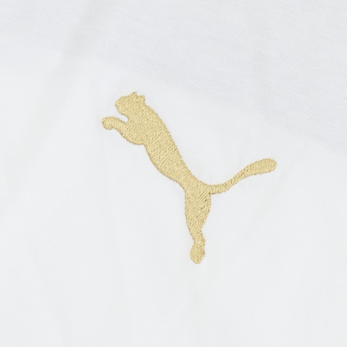 FIGC ｶｼﾞｭｱﾙ Tｼｬﾂ
