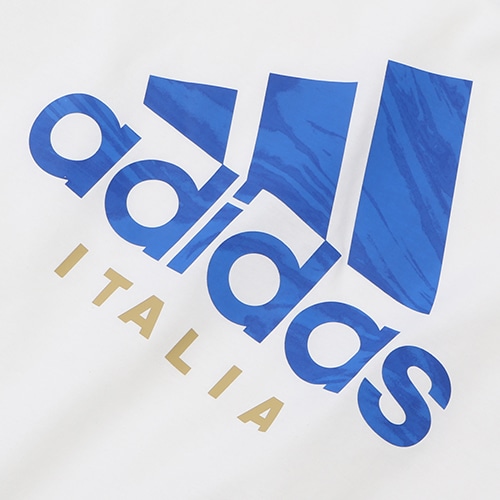 イタリア代表 DNA グラフィックTシャツ