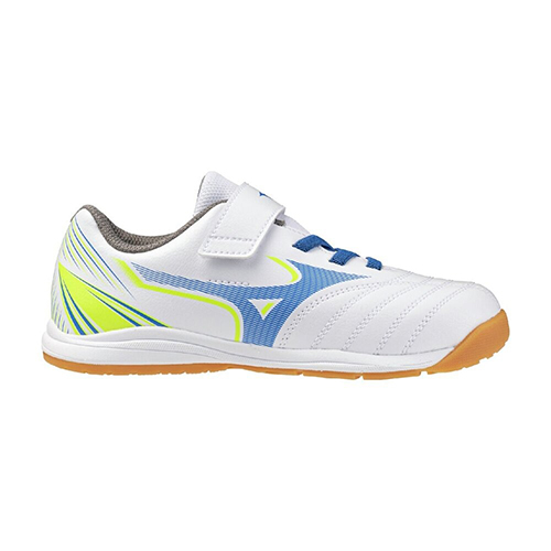 アレゴール SB IN