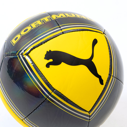 ドルトムント カルチャー ミニボール