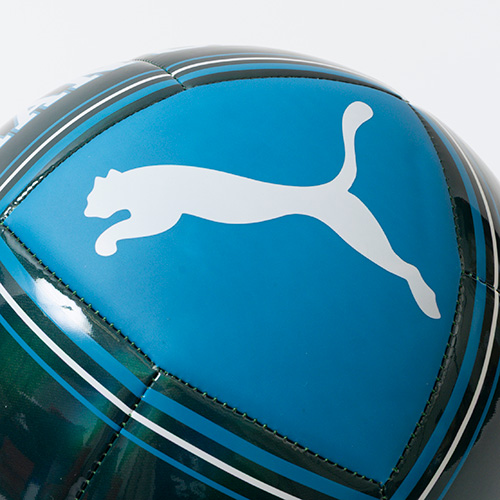 マンチェスター・シティ カルチャーボール 5号球