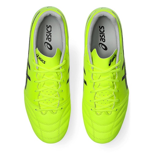 DS LIGHT PRO
