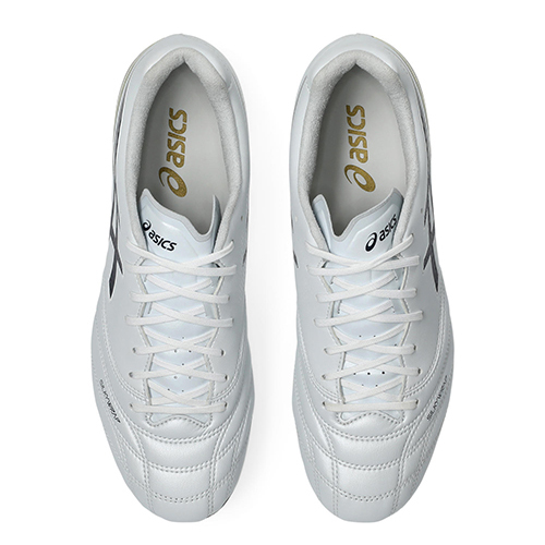【予約】DS LIGHT PRO AG