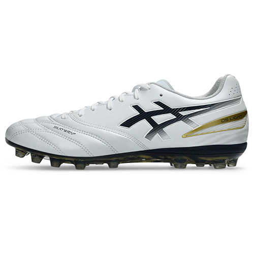【予約】DS LIGHT PRO AG