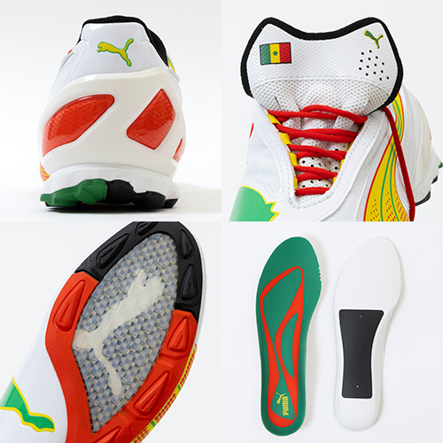 V-S1 AFCON セネガル