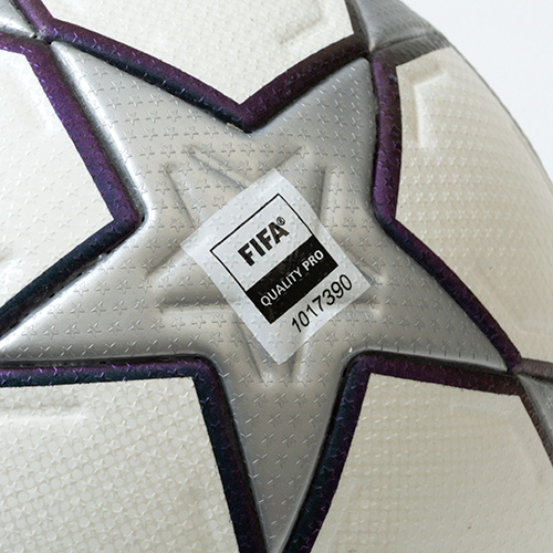 フィナーレ 25周年 プロ