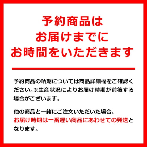 2024年 サッカー日本代表カレンダー (SAMURAI BLUE) 壁掛けタイプ