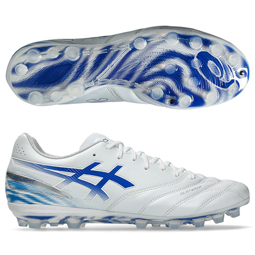 【予約】DS LIGHT PRO AG