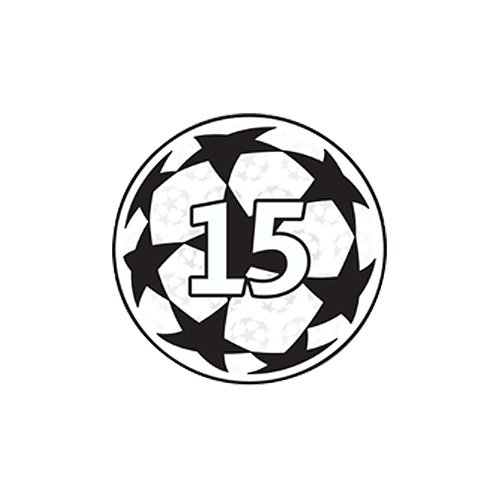 【納期7週間】CUP戦 ビッグイヤーバッジ 15