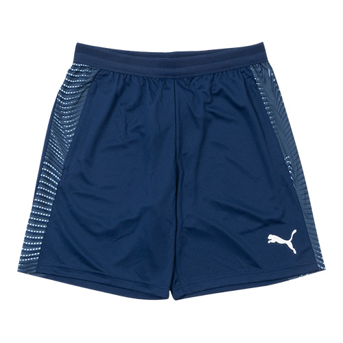 INDIVIDUALFINAL TR ショーツ