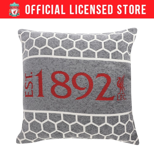 LIV Chenille Cushion