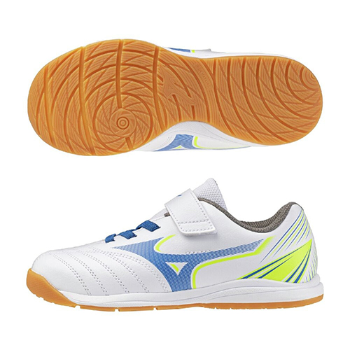 アレゴール SB IN