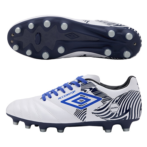 アクセレイター +GAINA HG