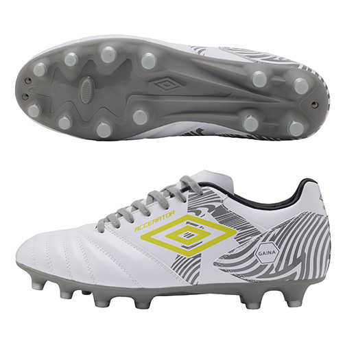 アクセレイター +GAINA HG