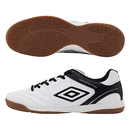 アクセレイターサラ WIDE IN