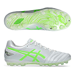 【予約】DS LIGHT PRO AG