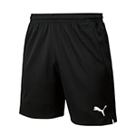 LIGA ｹﾞｰﾑﾊﾟﾝﾂ ｺｱ03PUMA BLAXXL