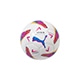 オービタ LALIGA 1 MS ミニボール
