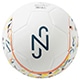 NJR グラフィック ボール 5号球